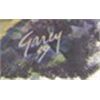 Image 2 : Garey,  Acrylic