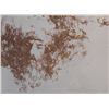 Image 2 : Ramon Kelly Stone Lithograph