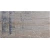 Image 3 : Jan Bealer Oil on Board