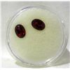 Image 1 : Two Oval Garnets Gem Stones Ready for Mounting