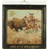 Image 1 : Lone Star Brewing Co. Self Framed Tin Beer Sign