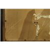 Image 11 : 3 Original Ad Topperwein Photographs Winchester