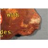 Image 10 : UMC Bulls Eye Cartridges Die Cut Flange Sign