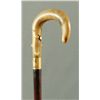 Image 2 : Horn Handled Gun Cane