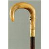 Image 3 : Horn Handled Gun Cane