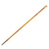 Image 1 : Sword Cane