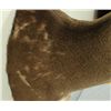 Image 4 : 10 PT Whitetail Deer Mount