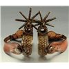 Image 1 : Chihuahua Spurs