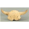 Image 1 : Buffalo Skull