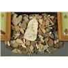 Image 3 : Arrowhead Collection