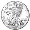 Image 1 : a 1 oz. Random Date UNC US Silver Eagle