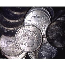 Lot 10 Morgan UNCIRCULATED Dollars