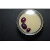 Image 1 : Oval Shaped Purple Marbled Gemstone; Various Sizes; Lot of 3; EST. $10-40