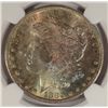 Image 2 : 1880-S MORGAN DOLLAR NGC MS64+ RAINBOWS!  EST. $130-$145