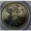 Image 2 : 1884-O MORGAN DOLLAR PCGS MS64 +