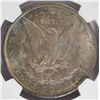 Image 3 : 1891 MORGAN DOLLAR NGC MS62 RAINBOW COLORS