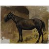 Image 1 : Edwin Lord Weeks - Study of a Brown Horse