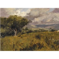 Edwin Lord Weeks - Passing Storm