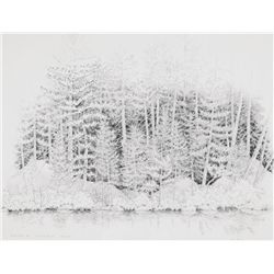 Alan Bray - Sunrise Pond, Borestone Mountain, Oct. '04