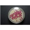 Image 1 : Small Round Shaped Maroon Colored Gemstone; Approximately 50 Stones; EST. $10-20