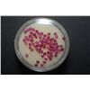 Image 2 : Small Round Shaped Maroon Colored Gemstone; Approximately 50 Stones; EST. $10-20