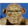 Image 3 : Lot 010: Bronze Chimp Sculpture, 20th C.