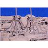Image 3 : Lot 011: Bird Statuary