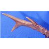 Image 4 : Lot 048: Miniature Deer Antler Mount, Dated 1916