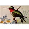Image 1 : Lot 054C: "M.E. Eaton" Watercolor, Ca 1920 - "Ruby Throated Hummingbird"