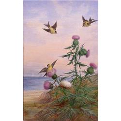Lot 054E: Large Watercolor of Birds, Ca. 1875