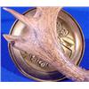 Image 3 : Lot 063: Brass Ash Tray, Deer Motif, Ca. 1900