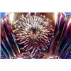 Image 3 : Lot 187: Carnival Glass