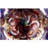 Image 3 : Lot 206: Carnival Glass