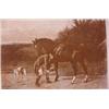 Image 4 : Lot 245: Treasures of Art from Paintings of the Masters, 1887, Phil.