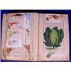 Image 3 : Lot 449: Victorian Scrap Book