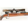 Image 2 : Browning Mdl 98 Mauser Cal .30-06 SN:NVSNBeautiful Belgium made bolt action rifle on a  Mauser actio