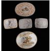 Image 1 : Collection of 5 Gist Belt Buckles