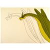Image 2 : Drawing Herculoids Animation Undetectable Original Cel