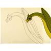 Image 2 : Herculoids Original Feeding Time Animation Cel Drawing