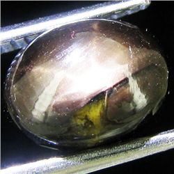 0.6ct Star Black Sapphire Oval (GEM-44190D)