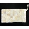 Mother of Pearl Shell Evening Bag (ACT-485)