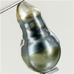 13.22ct Tahitian Baroque Pearl (GEM-45814)