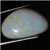 4.65ct Top Fire Australian Solid Opal Cab (GEM-46627)
