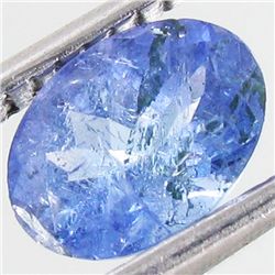 0.95ct Top Color Tanzanite Oval (GEM-38819)