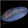 17.1ct Australian Black Opal Doublet Full Fire (GEM-46638)