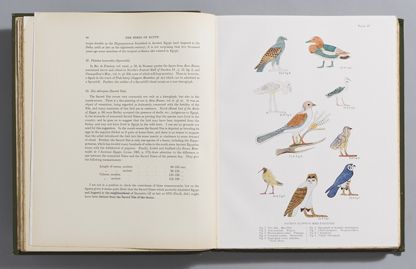 NICOLL ( Michael J. ). Nicoll's Birds of Egypt. By Colonel R ...