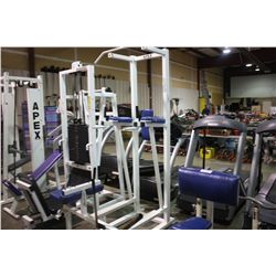 BLUE & WHITE APEX CHIN UP & STRECH BENCH