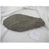 Image 3 : Arizona Basalt Blade
