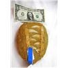 Image 1 : Fossil Masasaur Jaw fragment