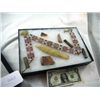 Image 1 : Arizona Artifact Collection